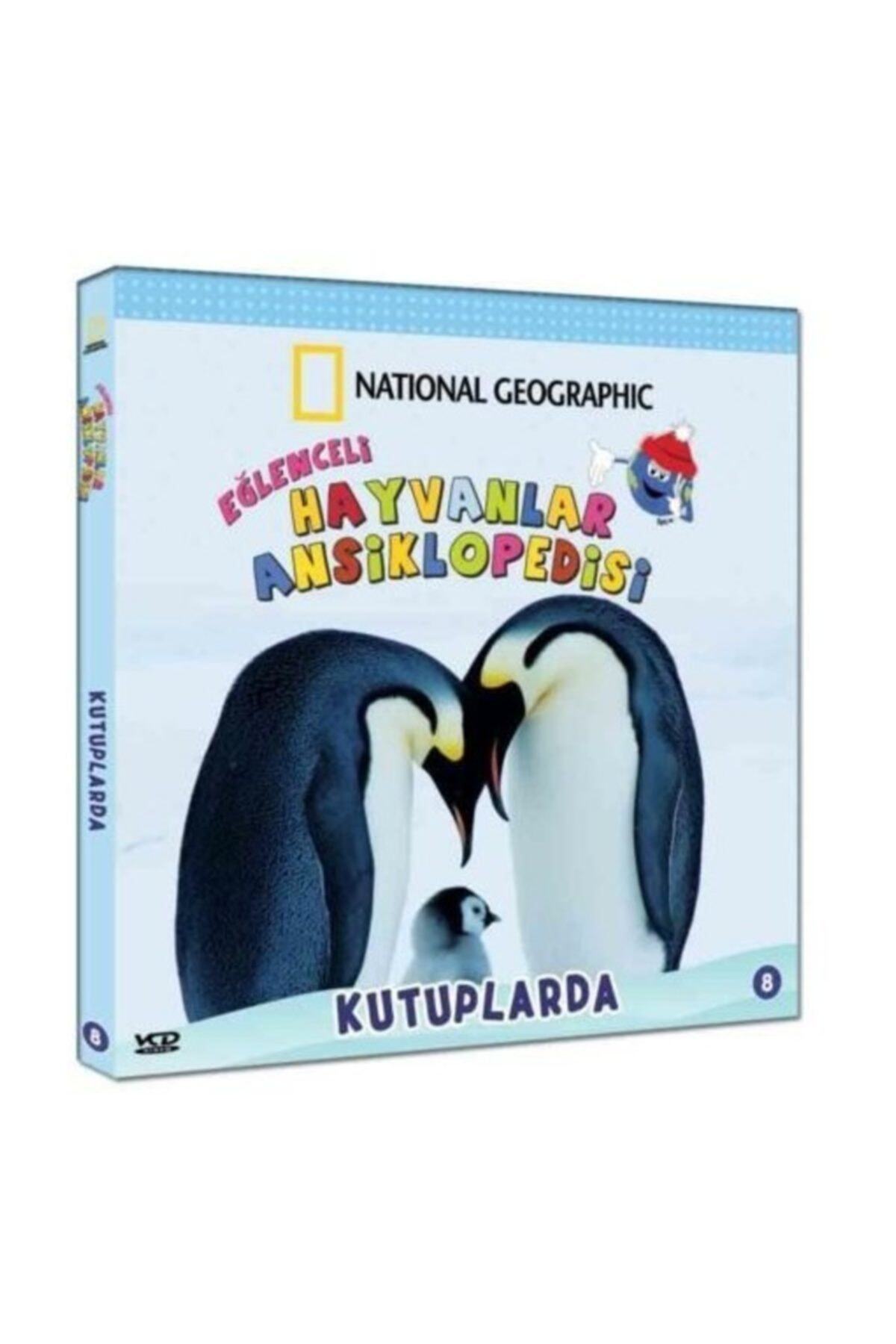 Saga Vcd Eğlenceli Hay.ans 8./ Kutuplarsa