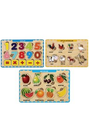 3 Adet Ahşap Bul Tak Eğitici Yapboz Puzzle Seti Image 0