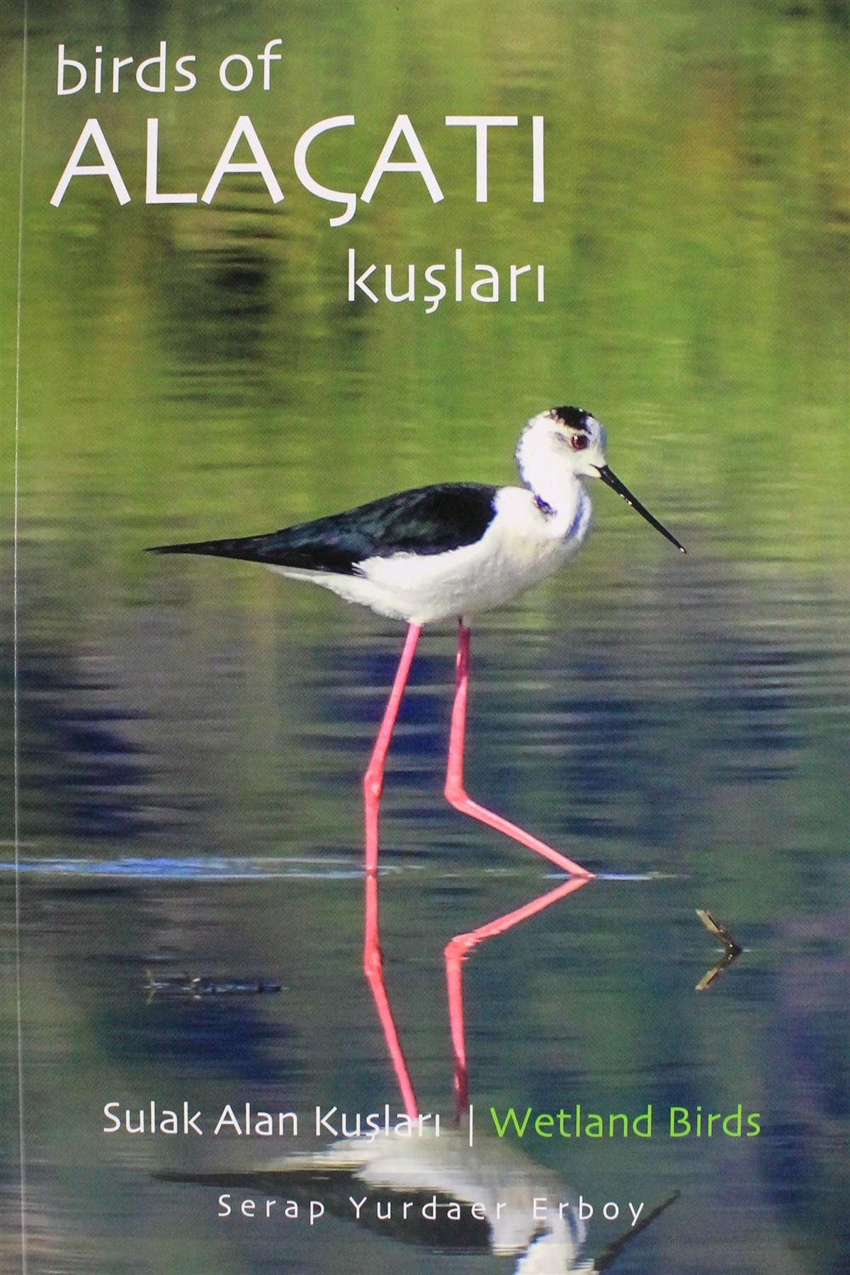 birds of alacati kuslari serap yurdaer erboy