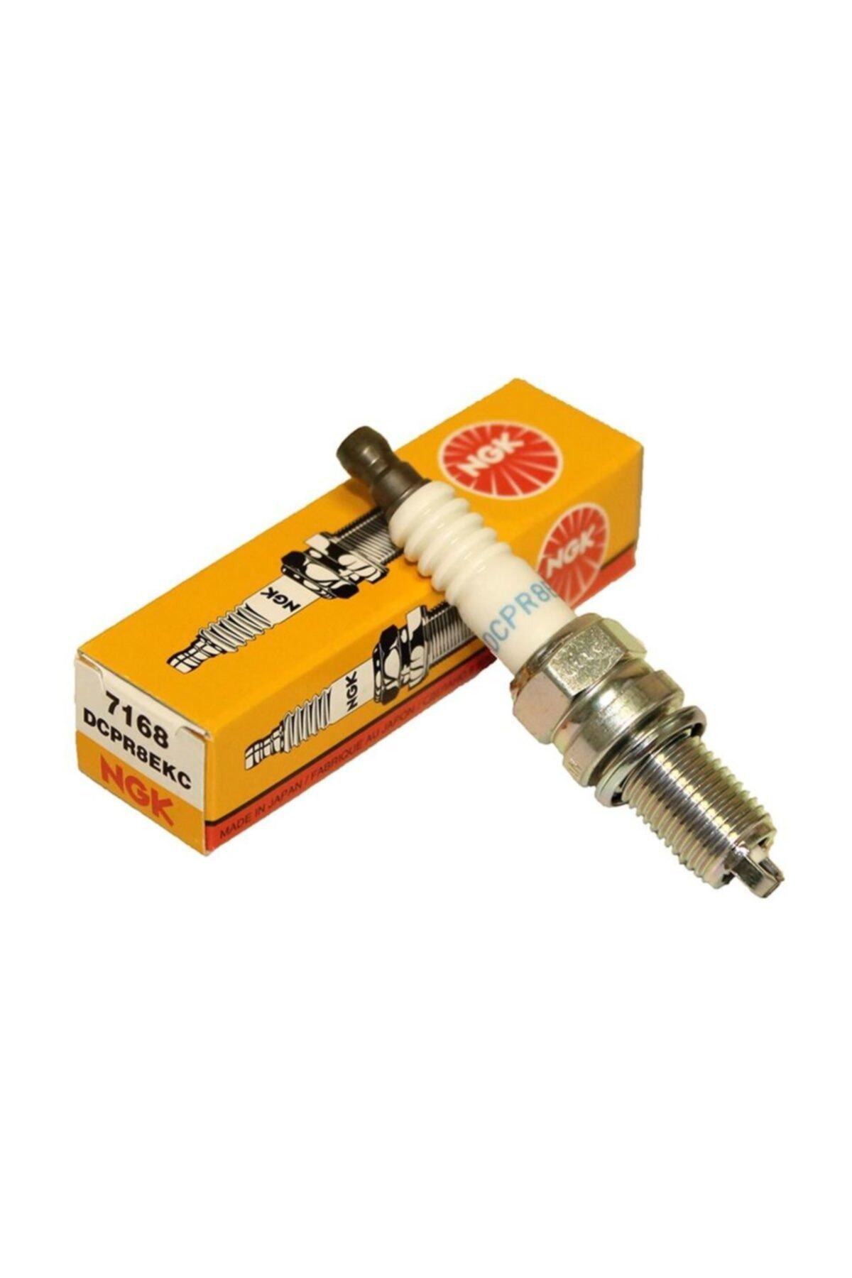 NGK Bmw R 1150 R Dcpr8ekc  Buji(2003-2006)