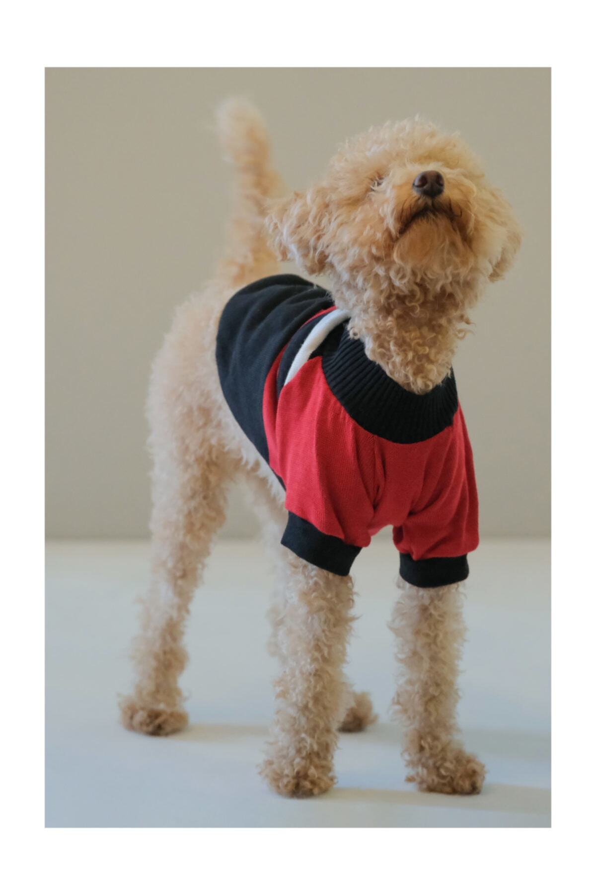 Ponchic Lacivert Kırmızı Renk Parçalı Köpek/kedi Kazağı