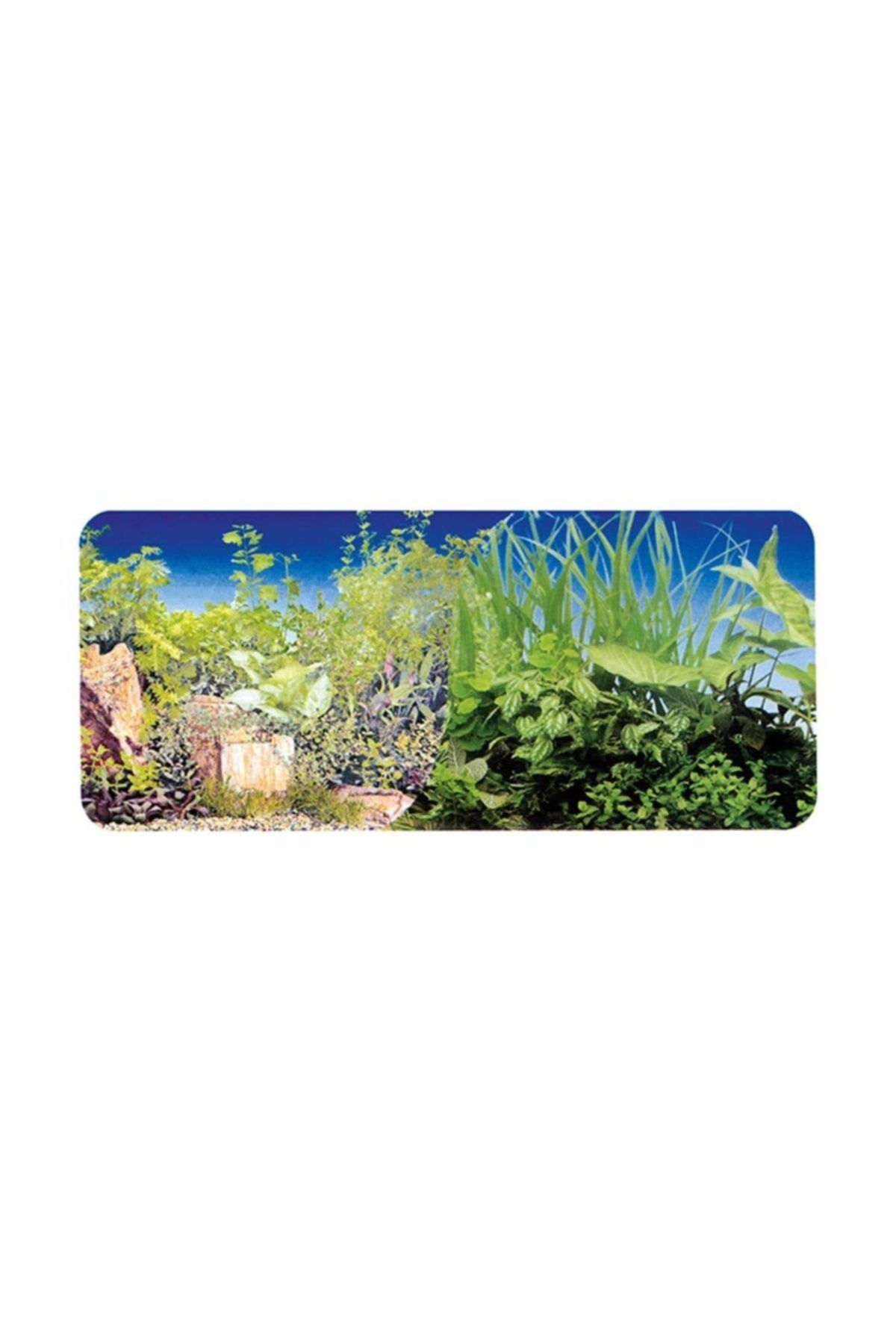 Chicos Bitki Plastik Poster 30 cm