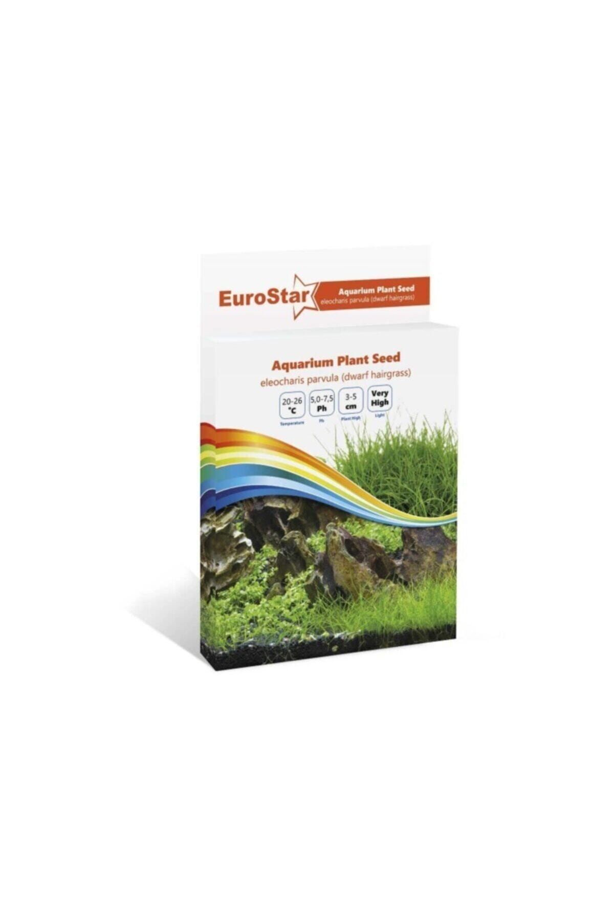 TROPİKAL Eurostar Bitki Tohum Eleocharis Parvula 1 Paket