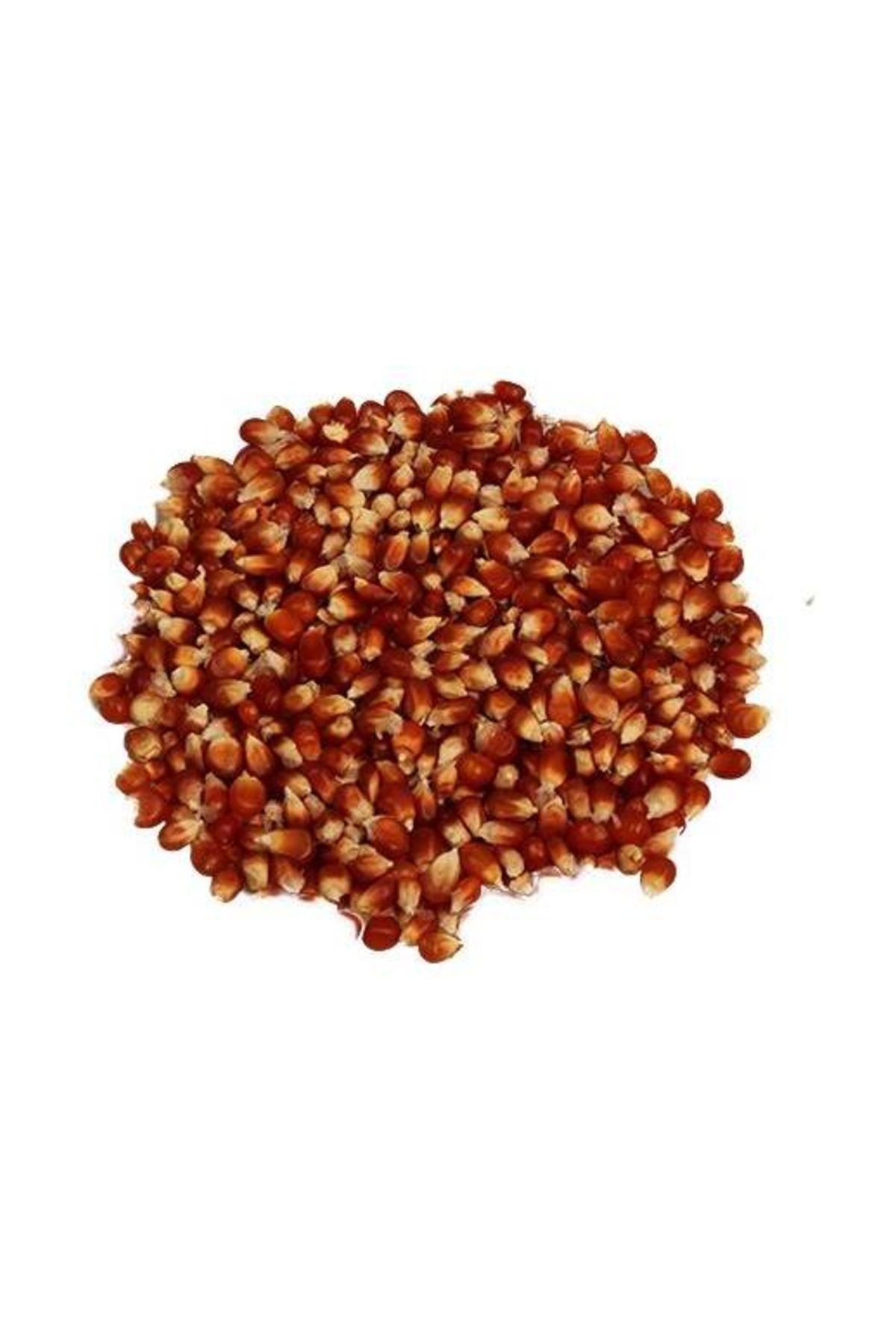 Bozkırım Patlayan Kırmızı Mısır (50 Yıllık Tohumdan) 1Kg