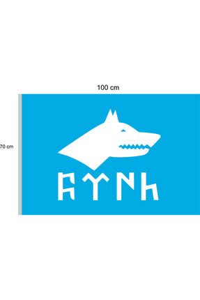 GÖKTÜRKÇE BAYRAĞI (TÜRK) MAVİ 70X105 CM RAŞEL KUMAŞA BASKILI Image 0