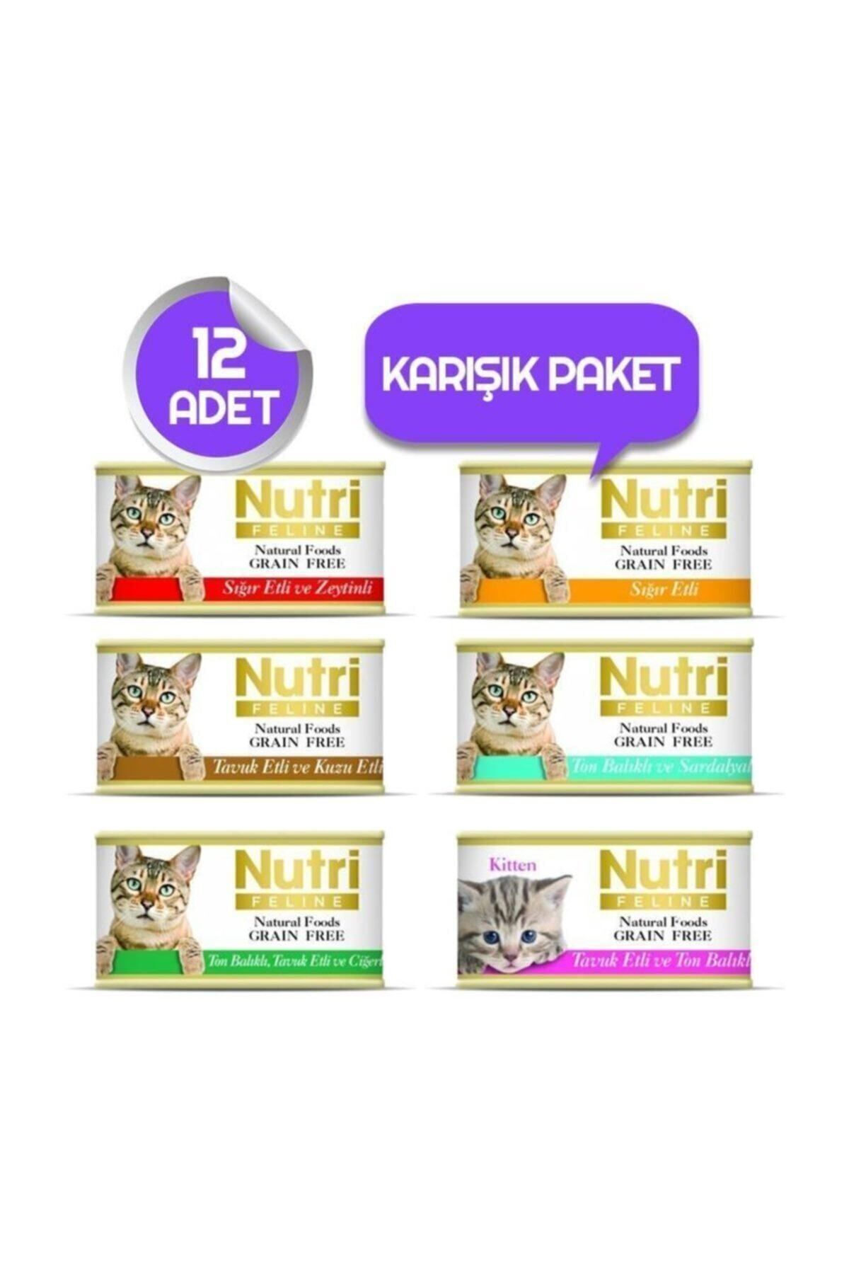 Nutri feline kitten discount