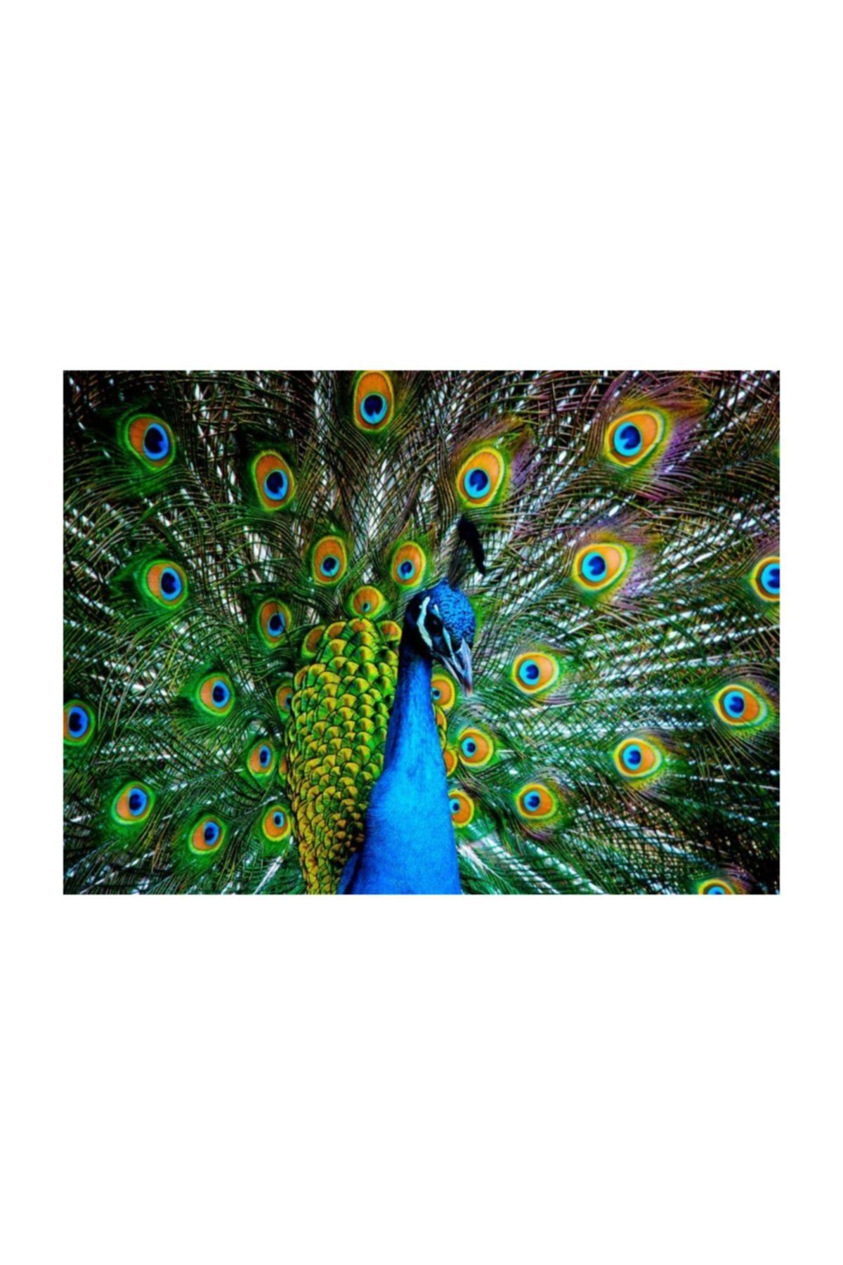 nova puzzle 41113 kur zamani 1000 parca puzzle fiyati yorumlari trendyol