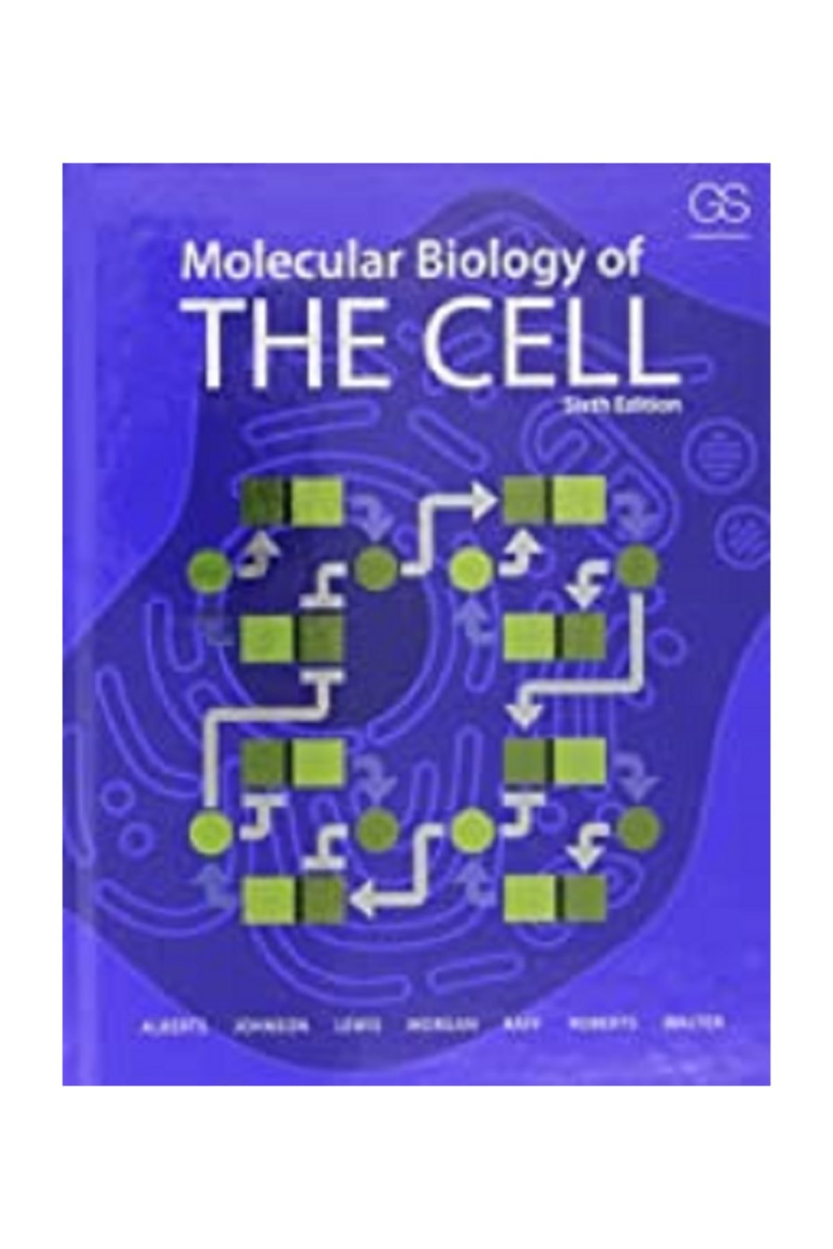 Taylor and Francis Molecular Biology Of The Cell, sixth Edition