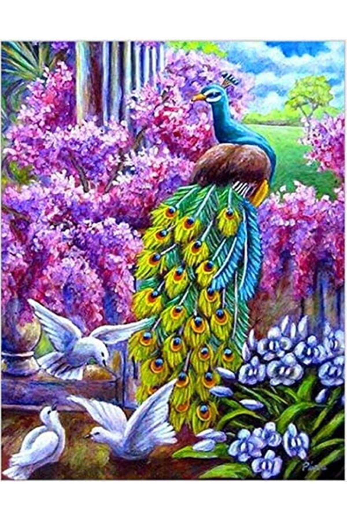 Hobigun Elmas Mozaik Tablo Diamond Painting Kit Puzzle 50x40 - Tavus Kuşu Ve Kumrular