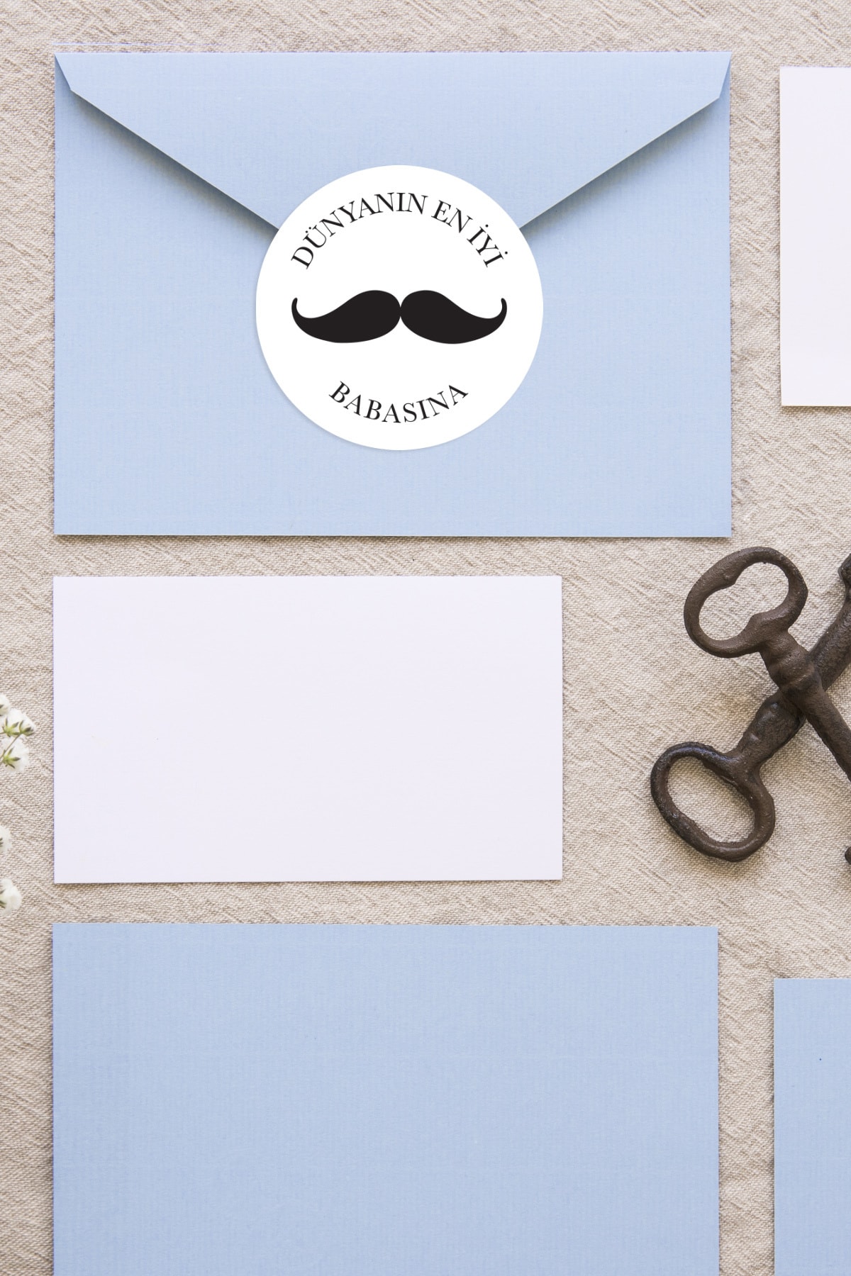 Funbou Sticker, babalar günü / 2 sayfa