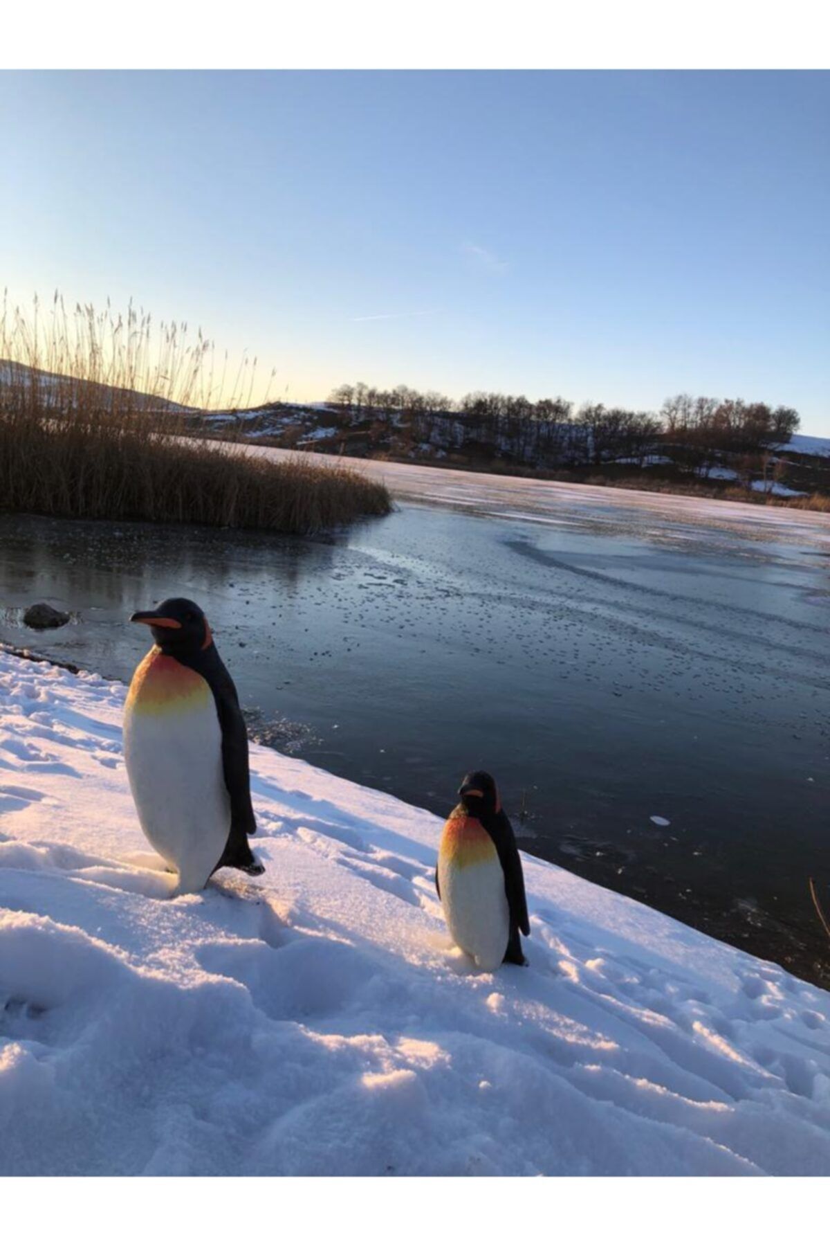 dekorumpolyester Penguen Bahçe Heykeli 2 li