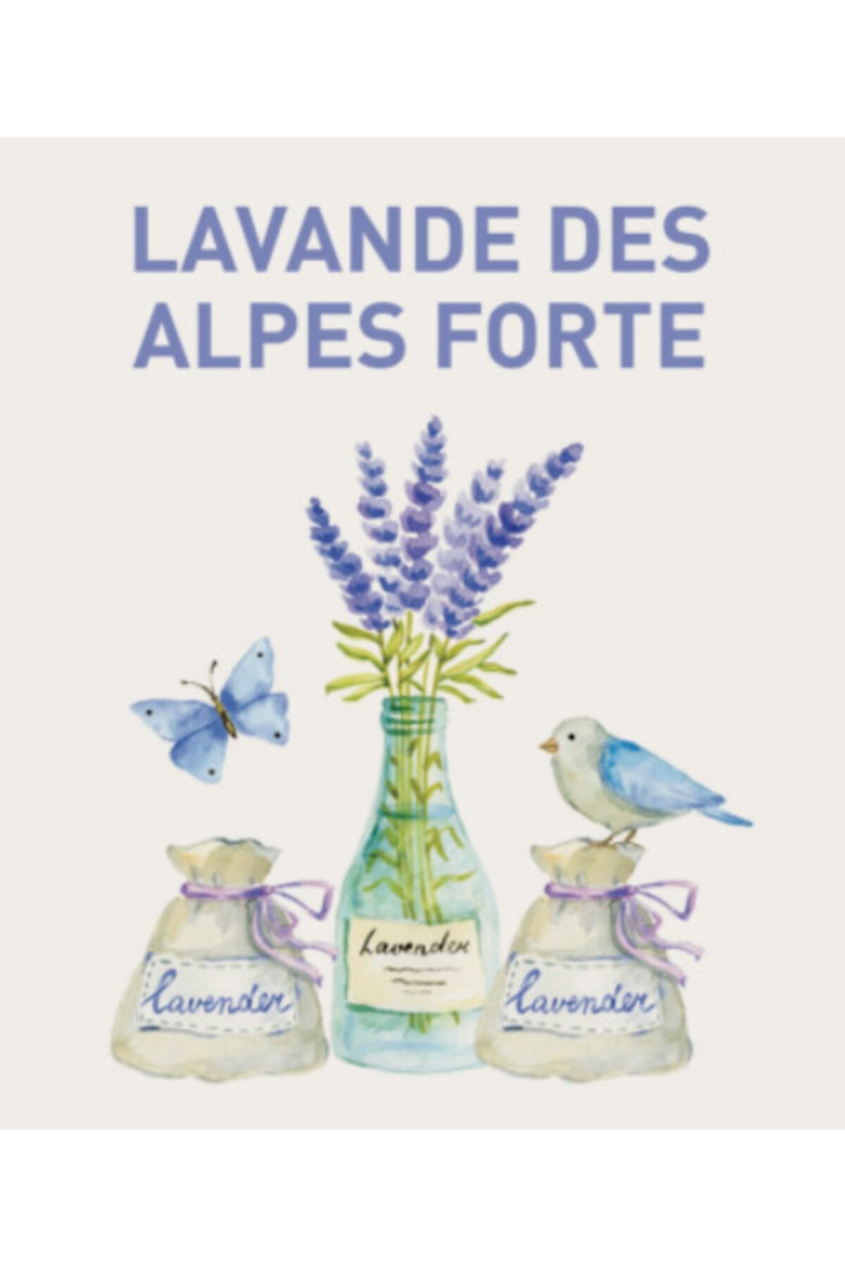SCENTO Lavande Des Alpes Forte (lavanta Çiçeği & Baharat) Koku Makina Parfümu 220ml