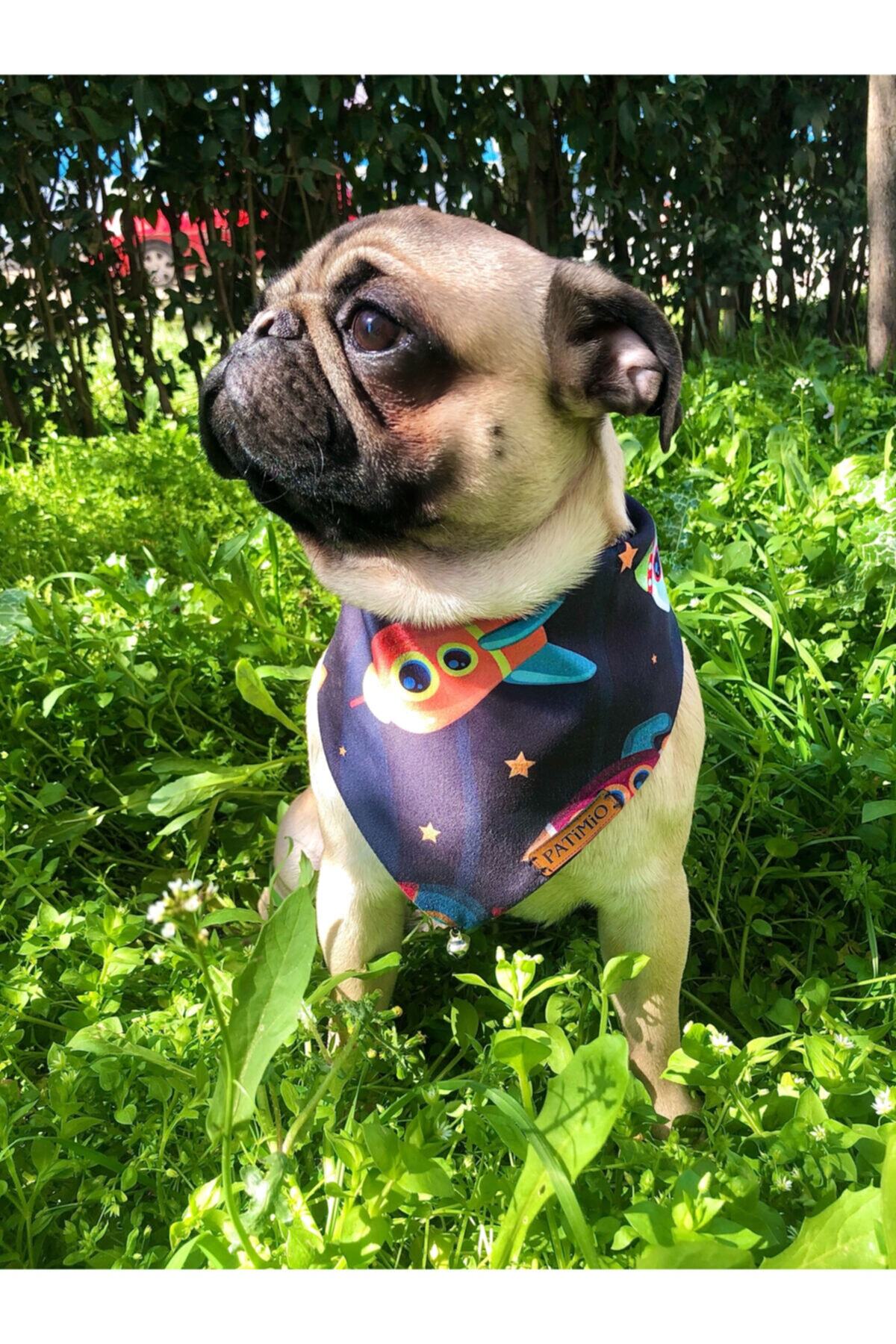 PATİMİO Köpek Ve Kedi Fular Bandana
