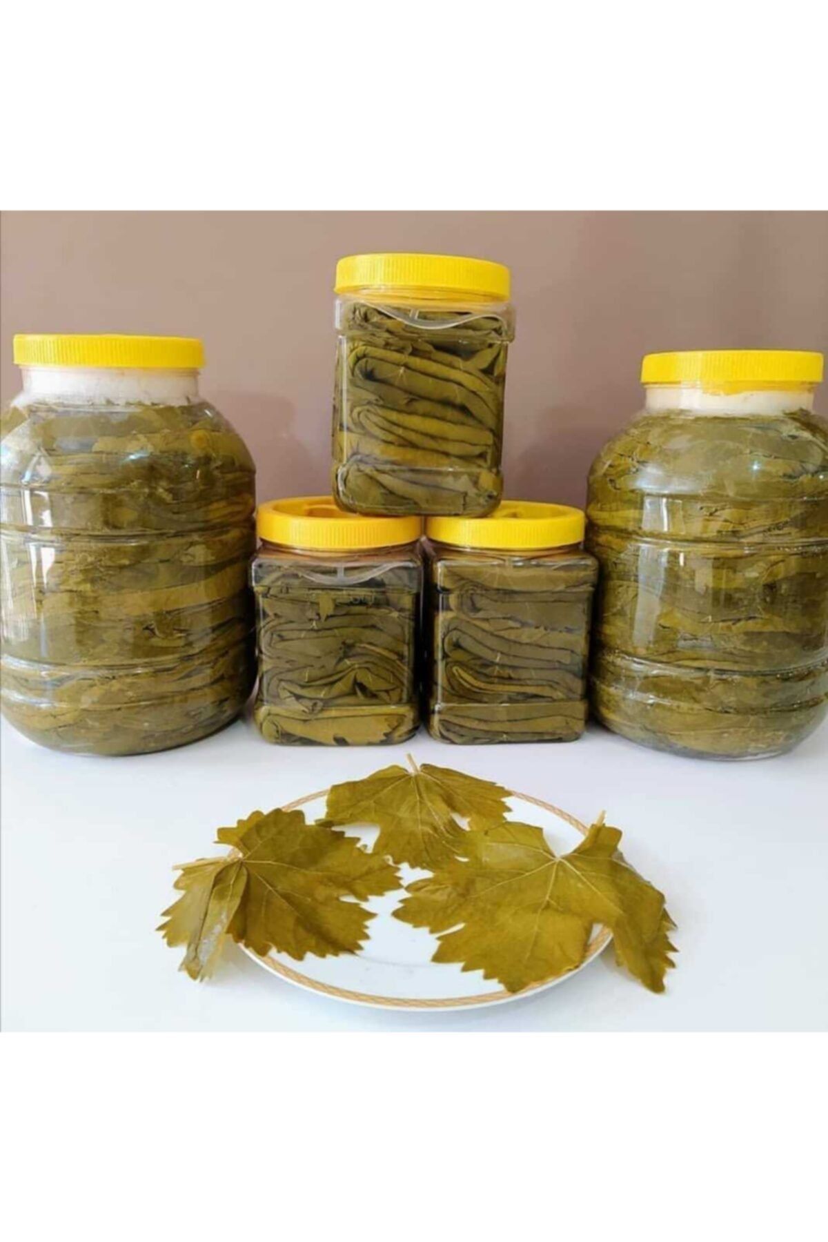 HATAY BIO ORGANİK Hatay Salamura Yaprak