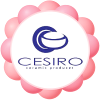 DSBoutiques_Mărci populare_cesiro