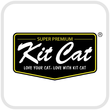 DSBoutiques_fingertips_Kit Cat