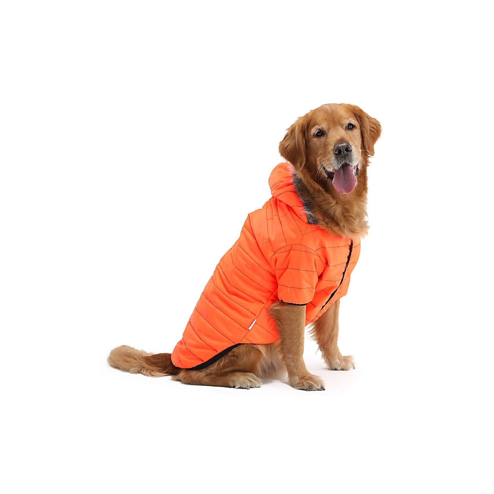 Petshop