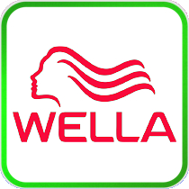 DSBoutiques_TMS_TopBrands_BrandLaunch_Wella