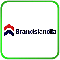 DSBoutiques_TMS_PopularBrands_BrandDay_brandslandiabrandday