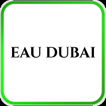 DSBoutiques_TMS_PopularBrands_SuperBrandDay_eaudubai