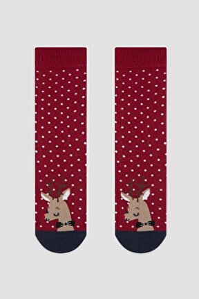 �������� ����� � ������ Red Deer