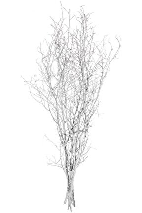Kuru Bitki Gürgen Dalı Kçk. 100 cm Beyaz