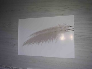 Müşteri fotoğrafı