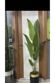 https://cdn.dsmcdn.com/sfweb-pdp/images/product-placeholder-v2.jpeg