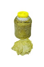 https://cdn.dsmcdn.com/sfweb-pdp/images/product-placeholder-v2.jpeg