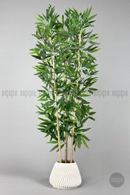 https://cdn.dsmcdn.com/sfweb-pdp/images/product-placeholder-v2.jpeg