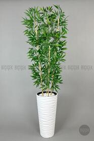 https://cdn.dsmcdn.com/sfweb-pdp/images/product-placeholder-v2.jpeg