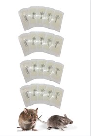 https://cdn.dsmcdn.com/sfweb-pdp/images/product-placeholder-v2.jpeg