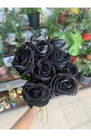 https://cdn.dsmcdn.com/sfweb-pdp/images/product-placeholder-v2.jpeg