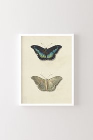 https://cdn.dsmcdn.com/sfweb-pdp/images/product-placeholder-v2.jpeg