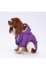 https://cdn.dsmcdn.com/sfweb-pdp/images/product-placeholder-v2.jpeg