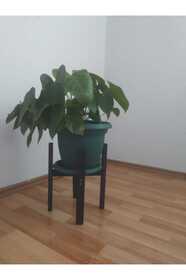 https://cdn.dsmcdn.com/sfweb-pdp/images/product-placeholder-v2.jpeg