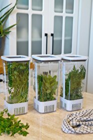 Evle Yeşillik Saklama Kabı 3'lü Eko Set 1,7 Litre - Fiyatı, Yorumları