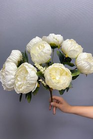https://cdn.dsmcdn.com/sfweb-pdp/images/product-placeholder-v2.jpeg