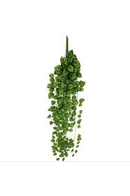 https://cdn.dsmcdn.com/sfweb-pdp/images/product-placeholder-v2.jpeg