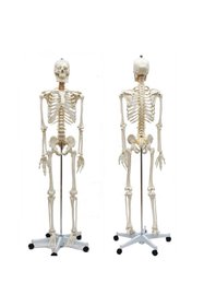 https://cdn.dsmcdn.com/sfweb-pdp/images/product-placeholder-v2.jpeg