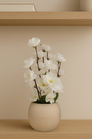 https://cdn.dsmcdn.com/sfweb-pdp/images/product-placeholder-v2.jpeg