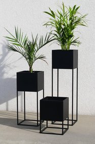 https://cdn.dsmcdn.com/sfweb-pdp/images/product-placeholder-v2.jpeg