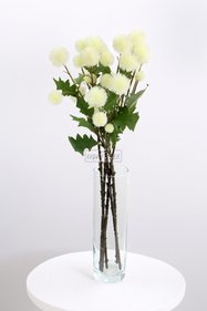https://cdn.dsmcdn.com/sfweb-pdp/images/product-placeholder-v2.jpeg