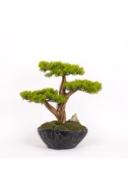 https://cdn.dsmcdn.com/sfweb-pdp/images/product-placeholder-v2.jpeg