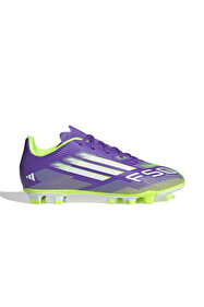 adidas Erkek Goretex Krampon Terrex Free Hıker 2 Low Gtx Ie7652