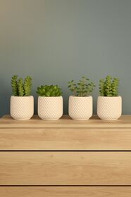 Lea Concept Mini Dörtlü Premium Sukulent Saksı - El Yapımı Beton