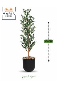 https://cdn.dsmcdn.com/sfweb-pdp/images/product-placeholder-v2.jpeg