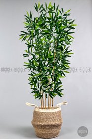 https://cdn.dsmcdn.com/sfweb-pdp/images/product-placeholder-v2.jpeg