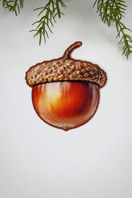 https://cdn.dsmcdn.com/sfweb-pdp/images/product-placeholder-v2.jpeg
