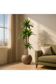 https://cdn.dsmcdn.com/sfweb-pdp/images/product-placeholder-v2.jpeg